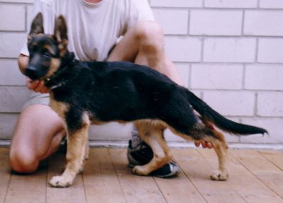 Elsa von der Waldesruh