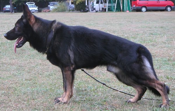 Glenn von den Galowerh�hen