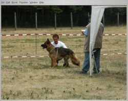 clipfoto K�rbericht