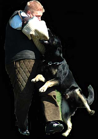 max von der k�nigsgrube